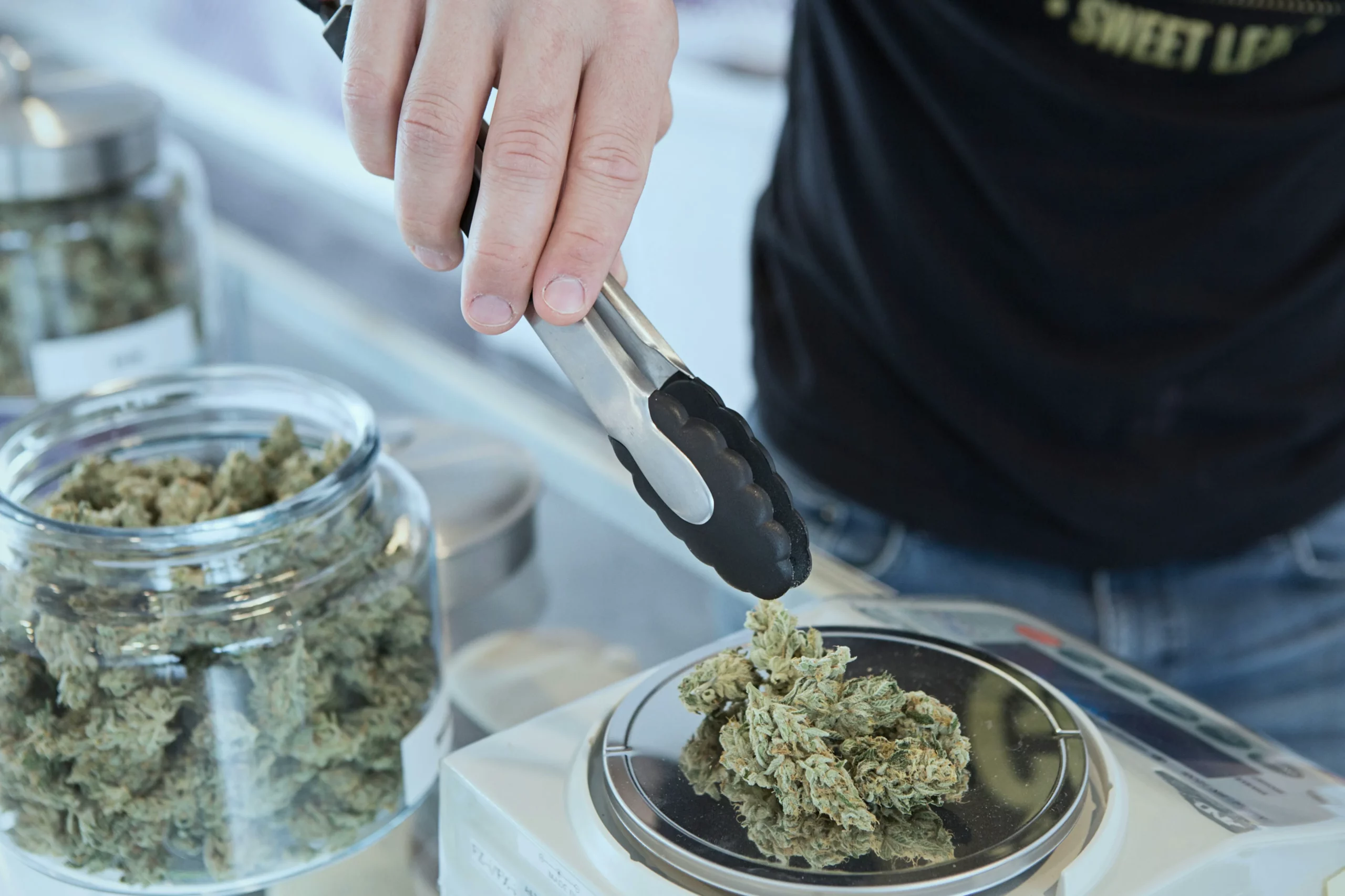 Vielfältige Cannabis Rezepte für Genuss und Gesundheit