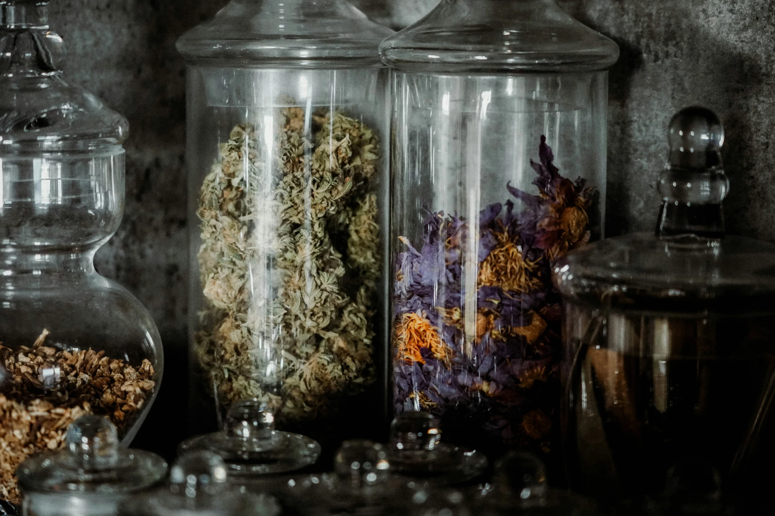 Kochen mit CBD: Legal, Tipps und Rezepte