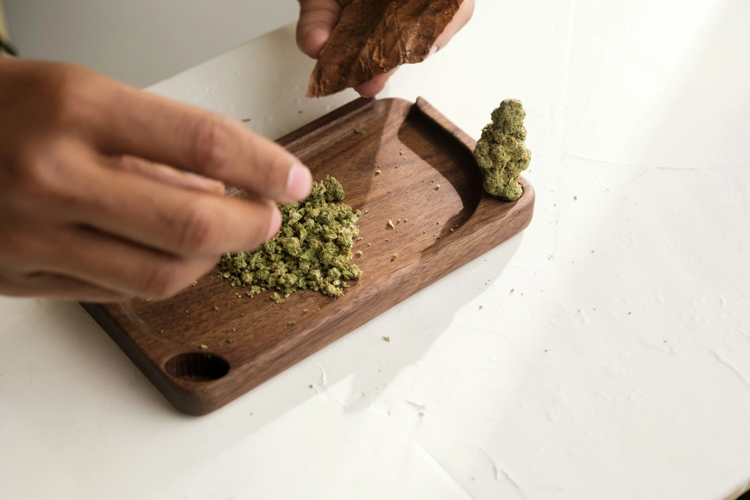 Legale Cannabis Rezepte: Kreativ mit CBD von kleine knospe