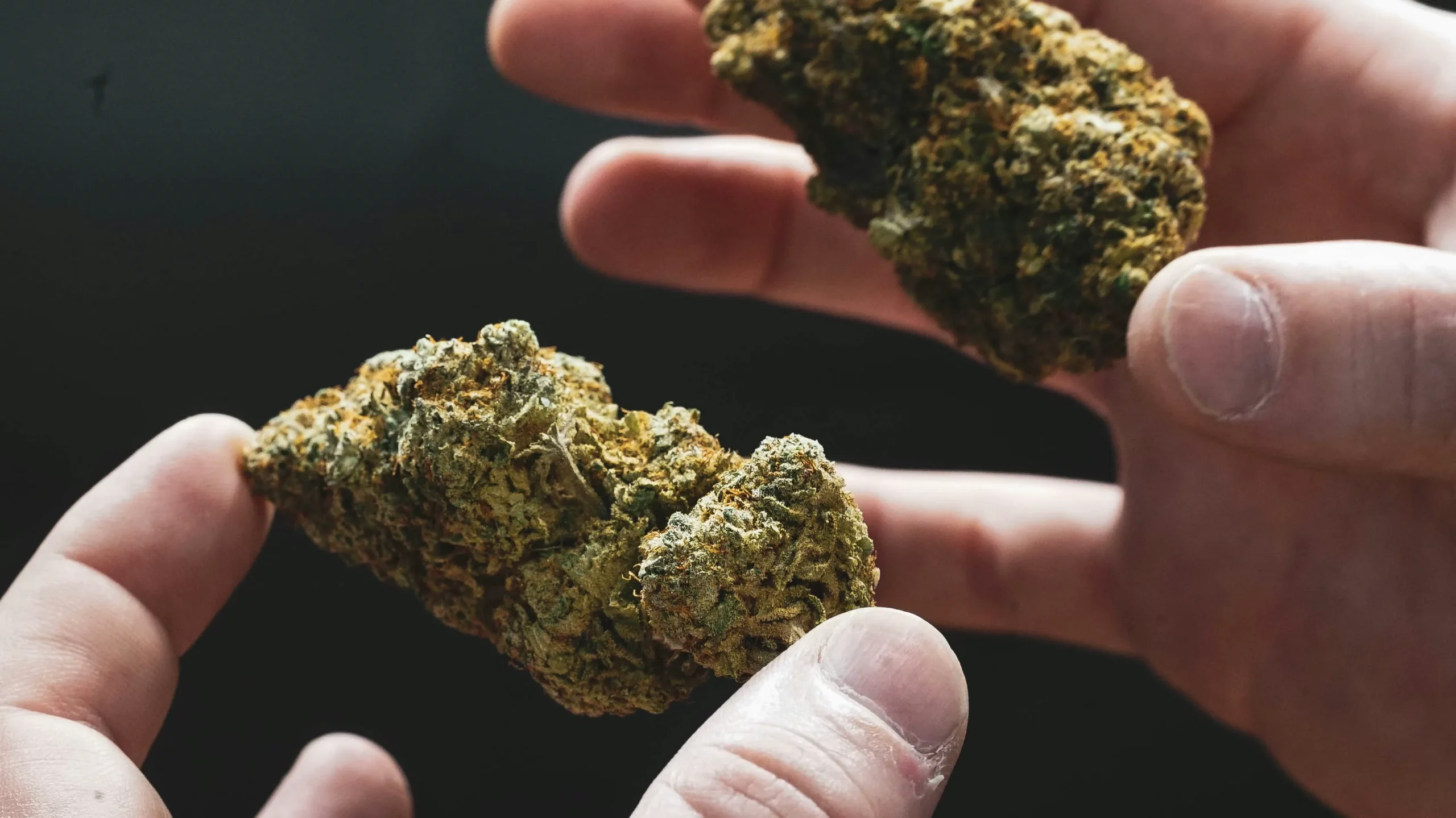 10-OH+: Wirkung, Unterschiede zu THC und Alltagstauglichkeit