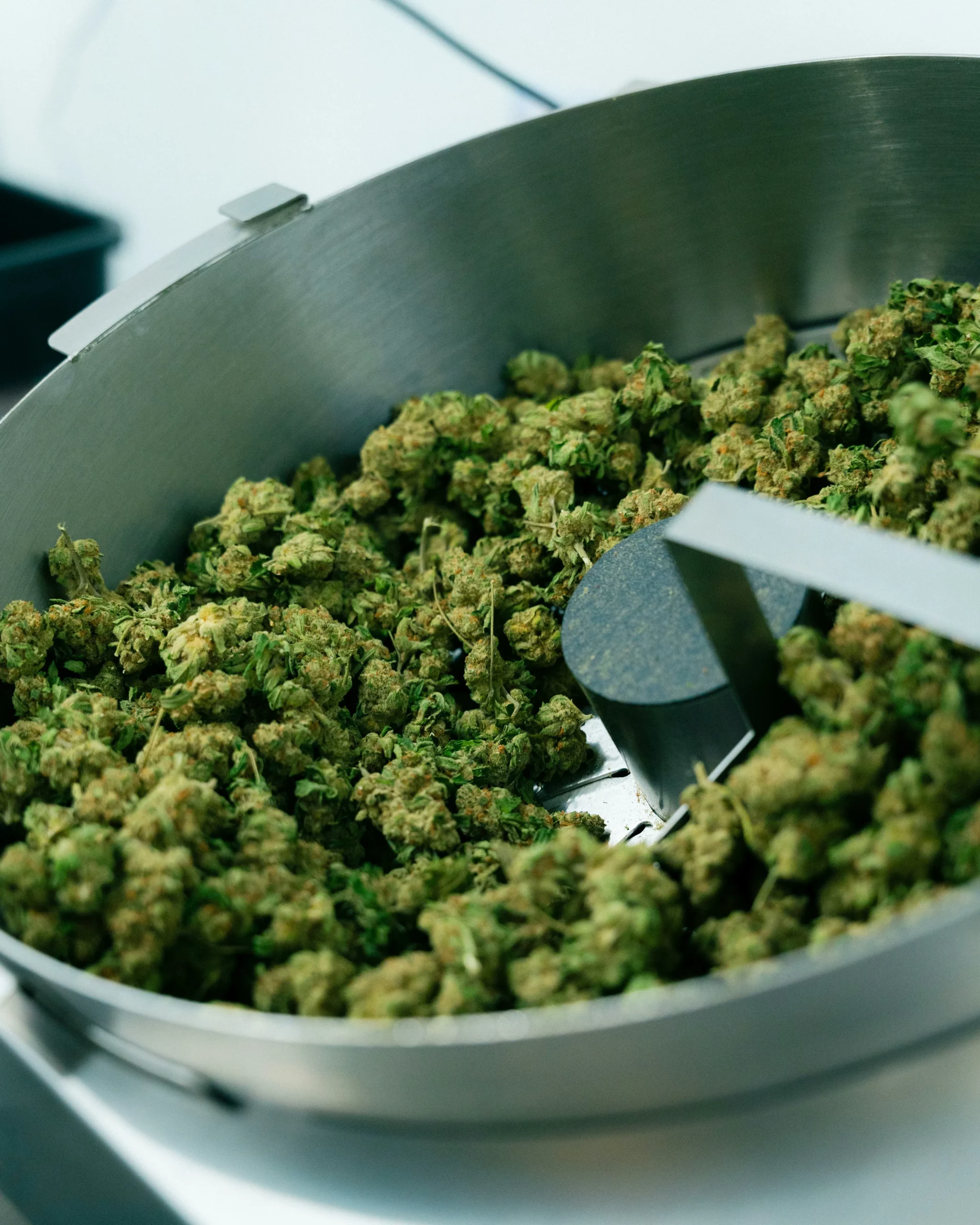 CBD Rezepte für Küche und Alltag Genuss & Entspannung
