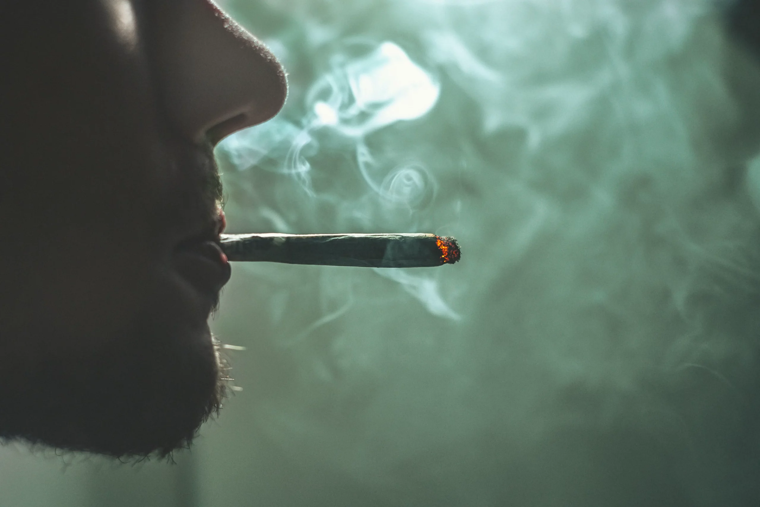 Perfekte Papers & Zubehör bei kleine knospe